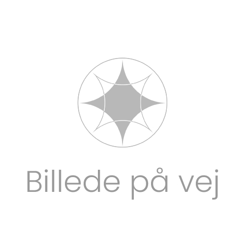 Indtast de tal og bogstaver, du ser nedenfor